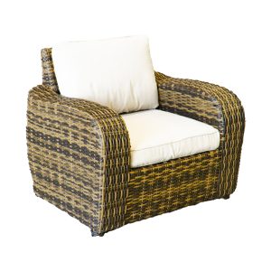 Premium Wicker 1 Seater