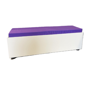Bench Ottoman with Squab